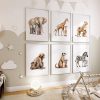 Jungle Animal Nursery Decor Wall Art Prints